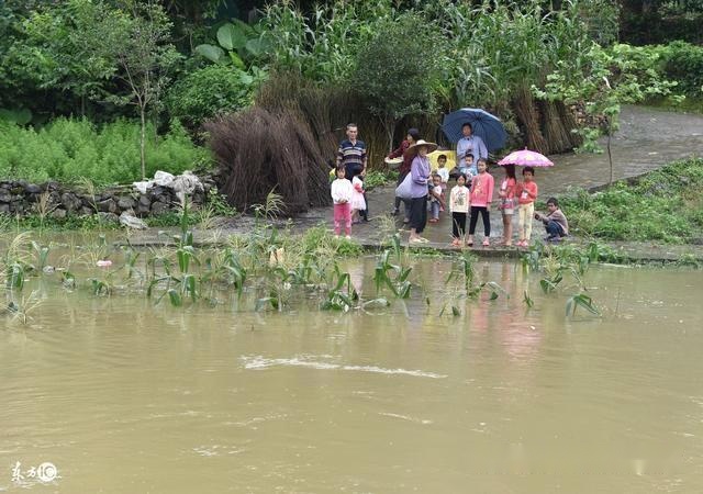 妻子不孕多年突然去世，男子独守多年，算命先生：妻子还在人世