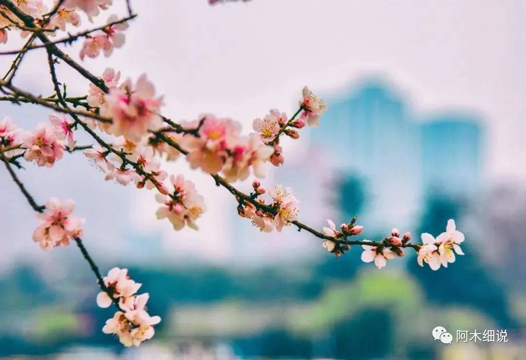 算命的说：5月前有贵人、后有横财主动找进门，6月喜事成双来，风风光光赚大钱的四生肖