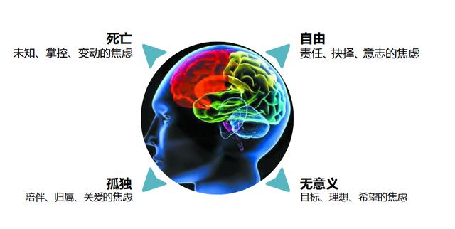 塔罗骗局上热搜：1.6万元占卜一次的人是疯了吗？