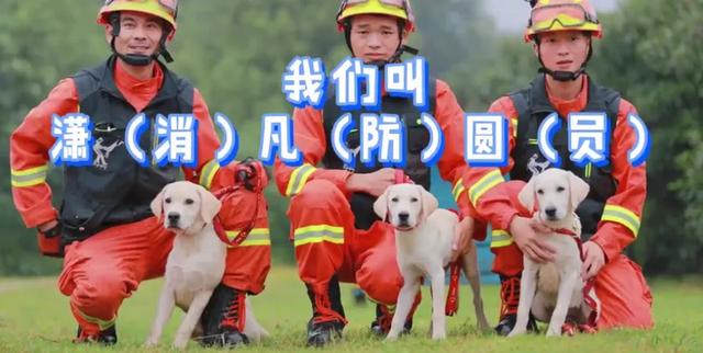 给狗子起名儿是真的非常纠结，来吧，这里有3只搜救犬等你来取名