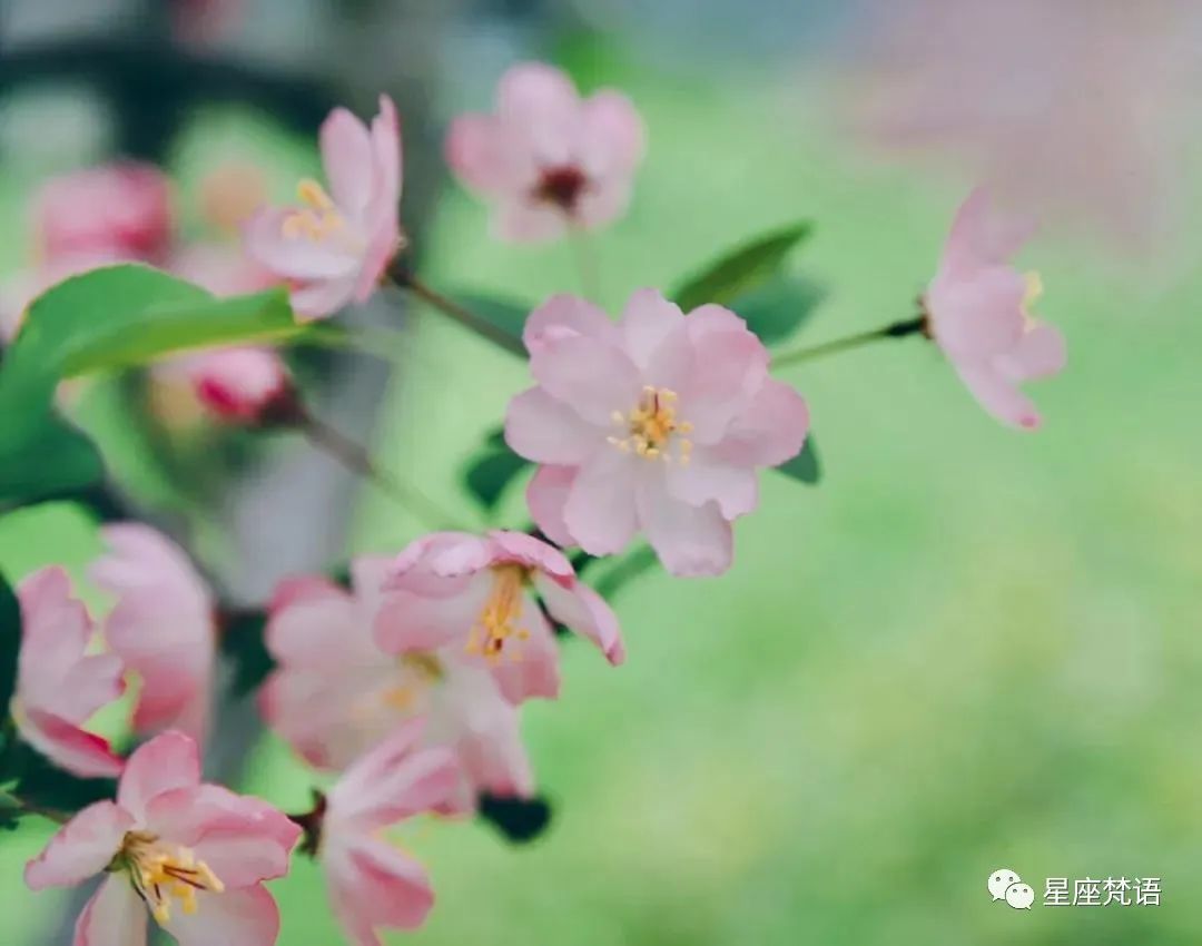 算命的说：5月将会贵人主动找进门，桃花结缘、大运如雨下，6月财运红透半边天，睡着都笑醒