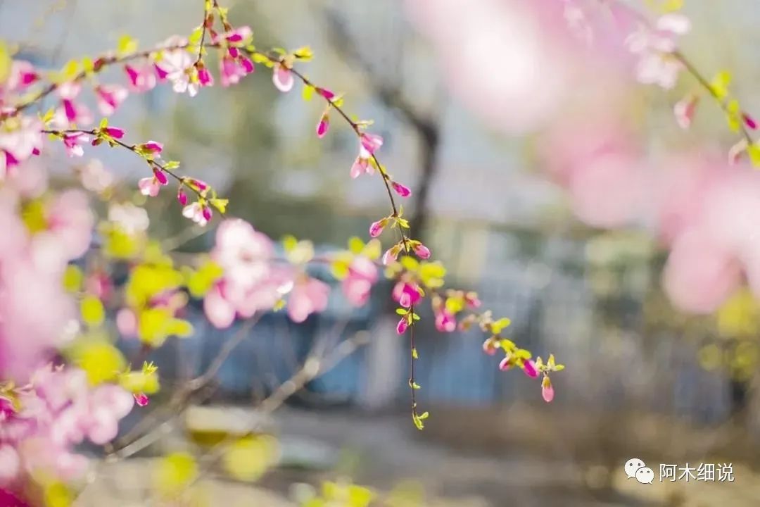 算命的说：5月底财神爷不请自来，喜事一飞冲天，4生肖喜上加喜，睡着都笑醒