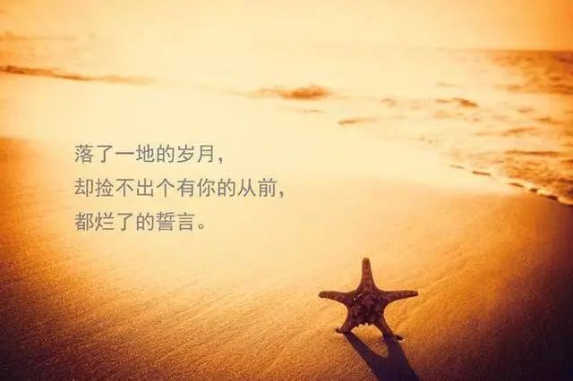 幽美塔罗牌占卜：他在等我联系他吗？