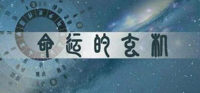 四柱八字年月日时天干地支身体器官类象位置