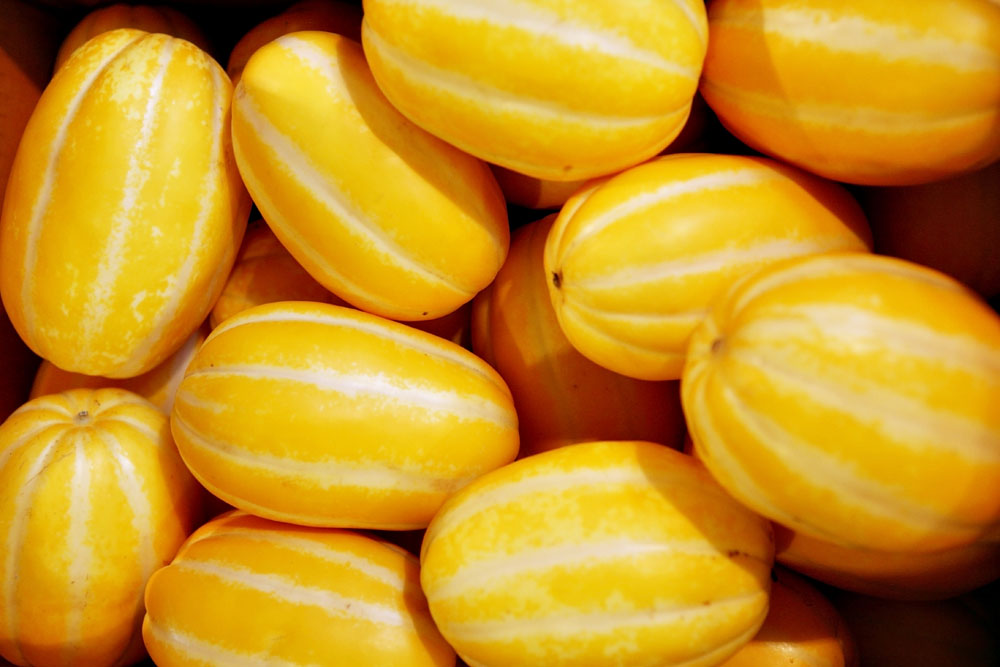 香瓜的营养价值及功效