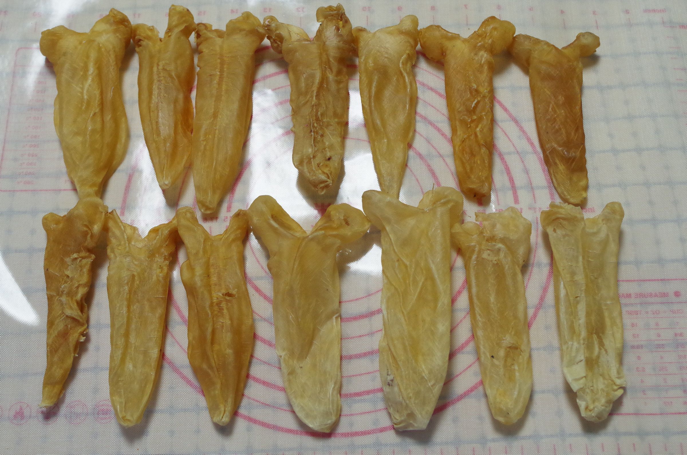 花胶的功效与作用及食用方法