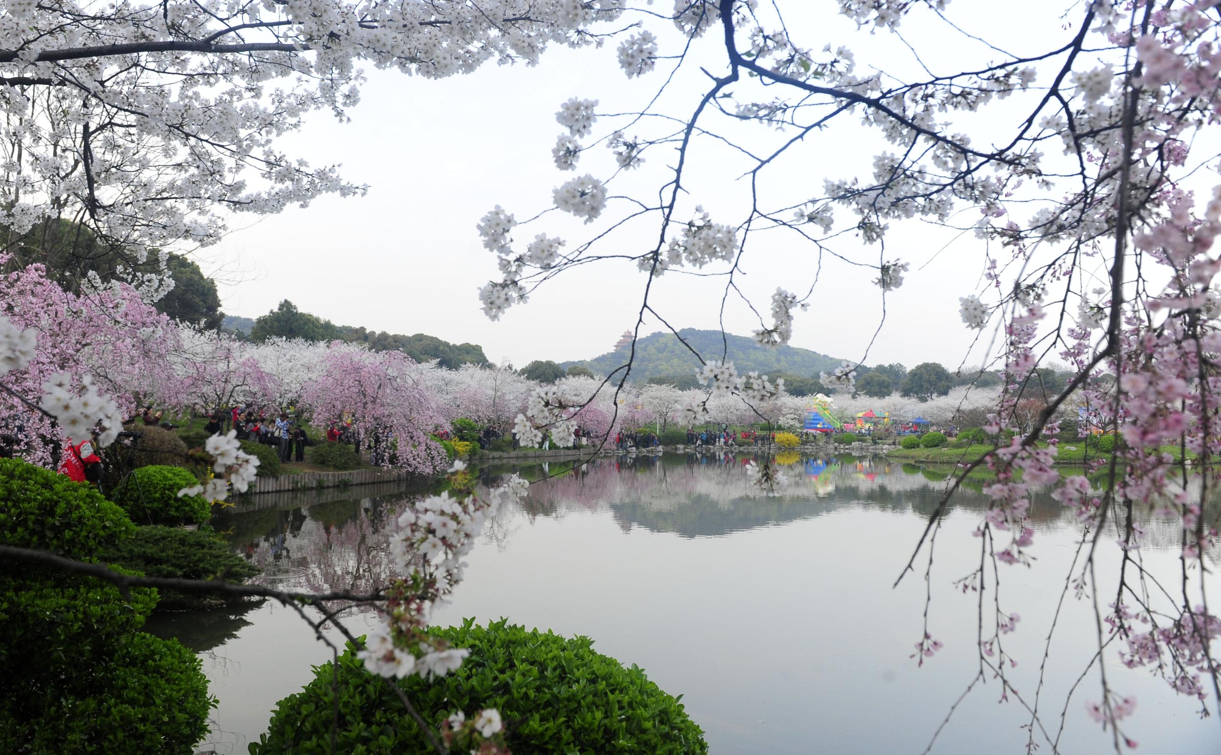 3月份去哪里旅游好