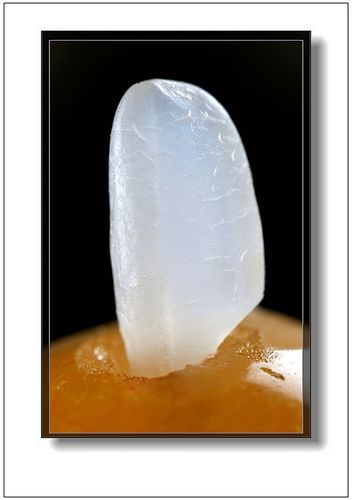 用放大头微拍 具体内容详情一览 - 青涩博客