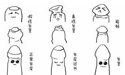 男人如何判断包皮过长