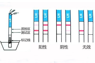 01早孕试纸或者验孕棒检测时间早孕试纸或者验孕棒检测怀孕时间一般在