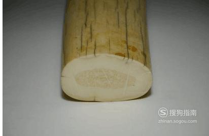 怎样鉴别海象牙真假