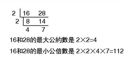 最小公因数图片