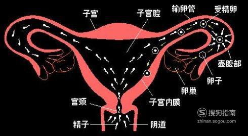 子宫积液是怎么回事