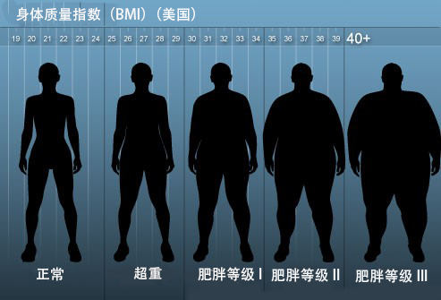 手術減肥方法有哪些？