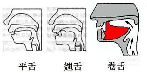 平舌音与翘舌音