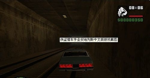 侠盗猎车手圣安地列斯家庭服务玩法