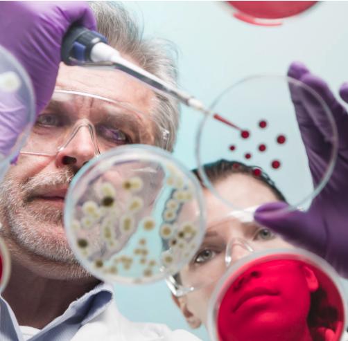 临床研究的过程是怎样的?