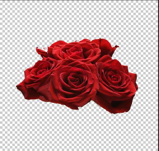 方法01菜单栏:执行"文件"-"打开"命令,载入玫瑰花素材.