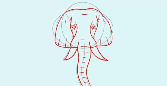 03画出大象的鼻子和牙齿04根据刚刚画出的位于在椭圆和圆内上