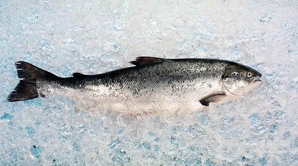 如何变白,吃哪些食物可以变白,吃什么能变白