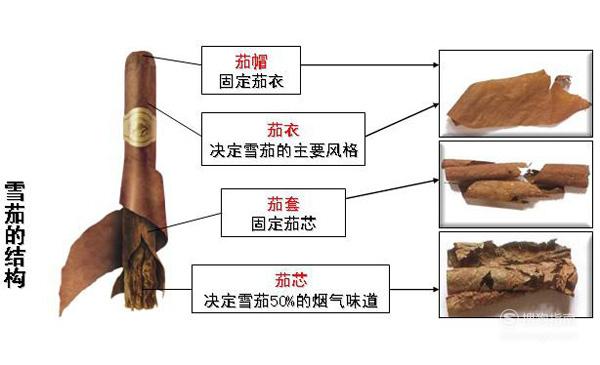 01雪茄的组成部分雪茄是由茄帽,烟标,茄衣和烟脚四个部分组成.