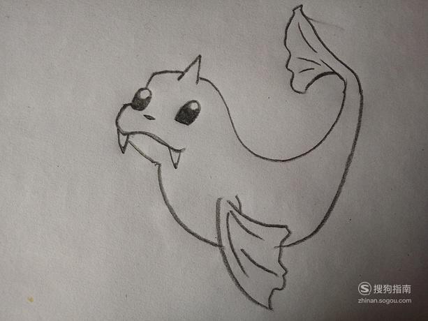 小海狮简笔画白海狮图片