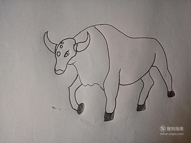 简笔画《口袋妖怪》之肯泰罗