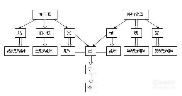 直系血亲包括哪些人,三代以内旁系血亲对方范围