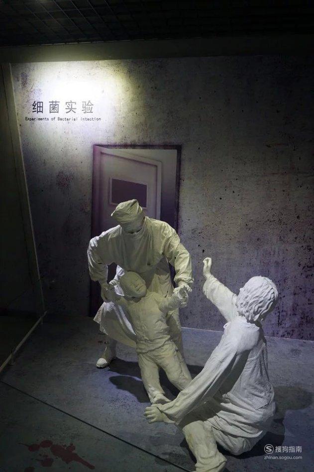 731部队最恐怖展品图片