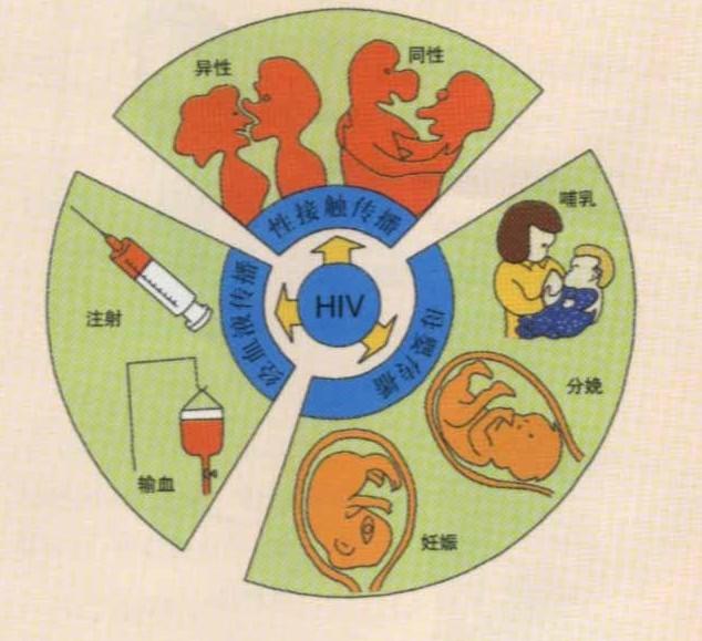 血常规检查能够查出艾滋病吗