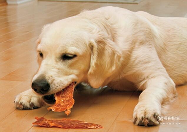 01狗狗长期吃肉是很正常的,因为狗狗本来就是肉食动物,但是如果只吃肉
