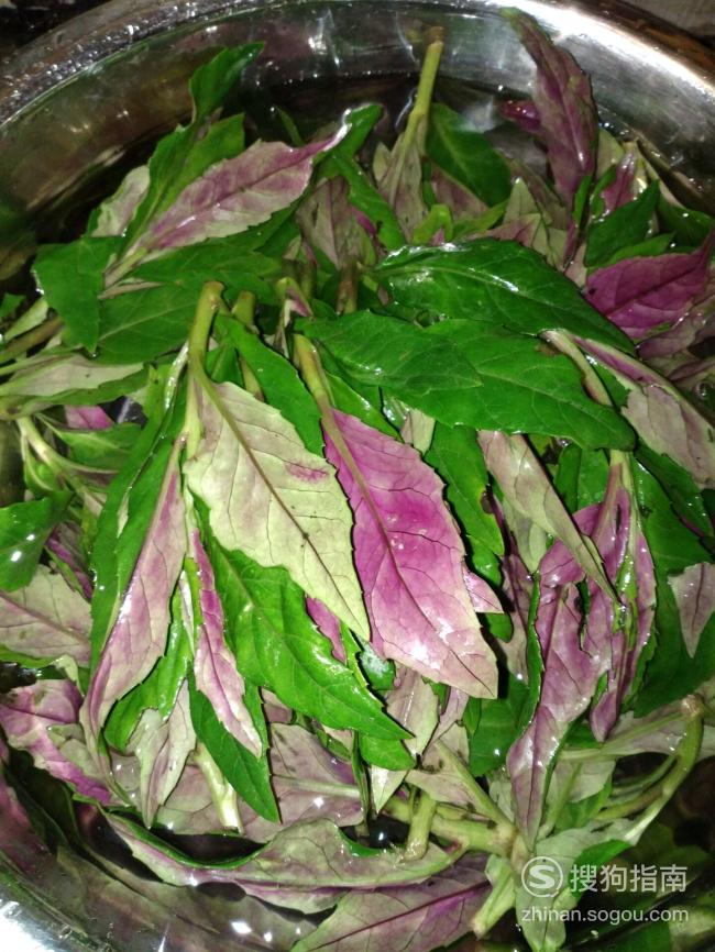血皮菜炒猪肝