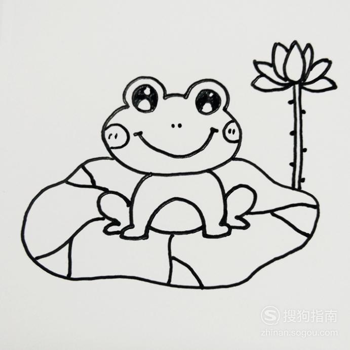 画青蛙的简笔画荷叶图片