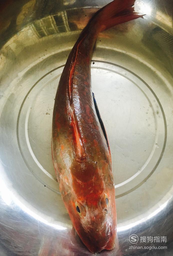 红绣鞋鱼炖冻豆腐的做法