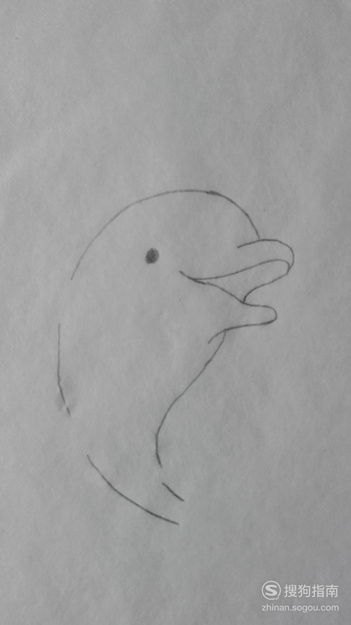 如何画玩呼啦圈的海豚的简笔画