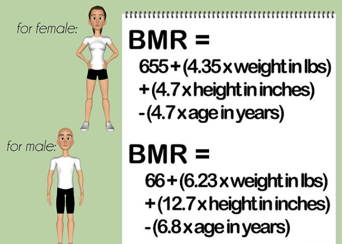 可以幫助你計算你的基礎代謝率,這就是指你每天什麼也不做消耗的能量