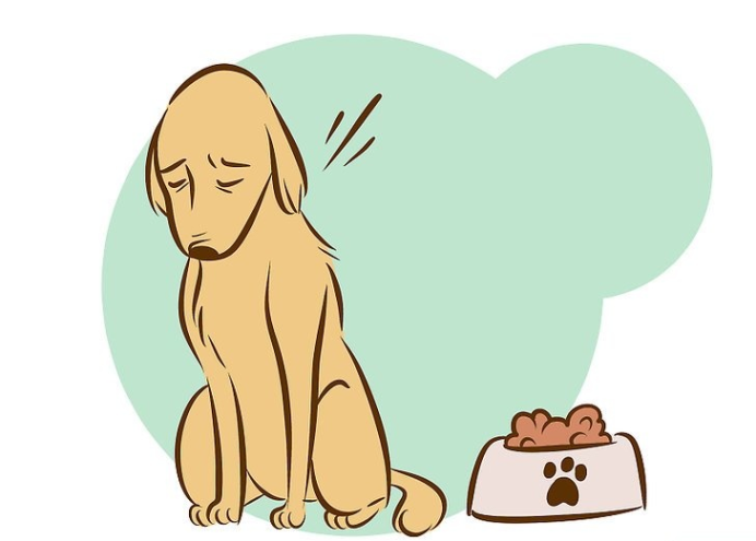 如何判断狗狗是不是快死了