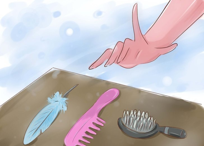 羽毛或软毛刷也可以帮助你实现挠痒痒的恶作剧