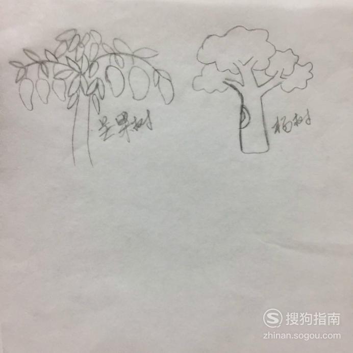 芒果树简笔画怎么画图片