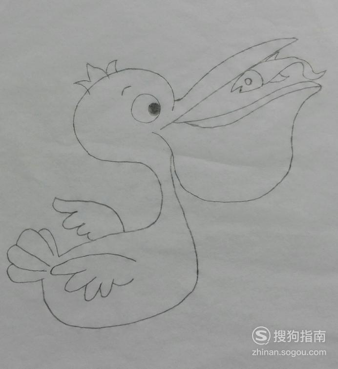 大嘴鸭简笔画图片大全图片